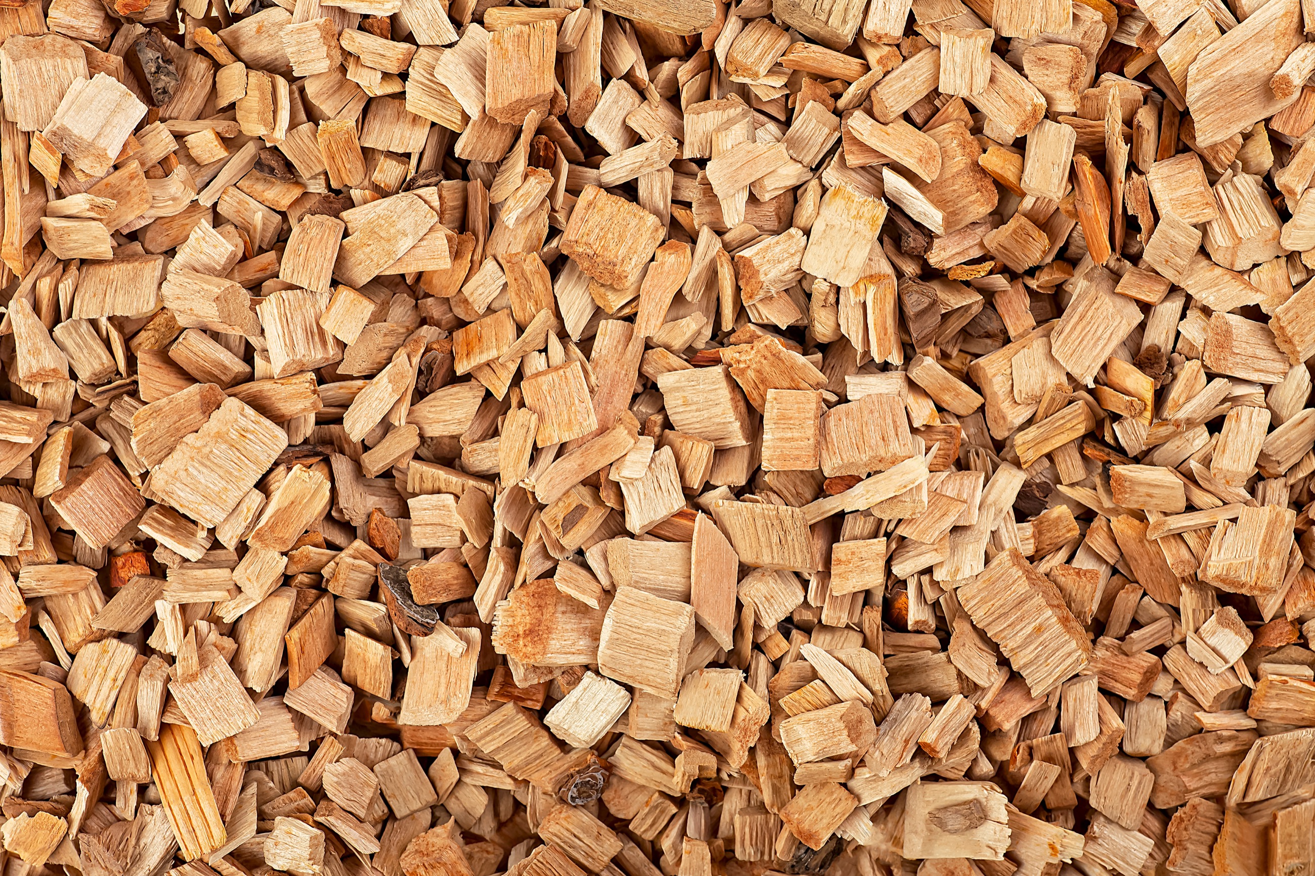 Hackschnitzel – technisch getrocknet