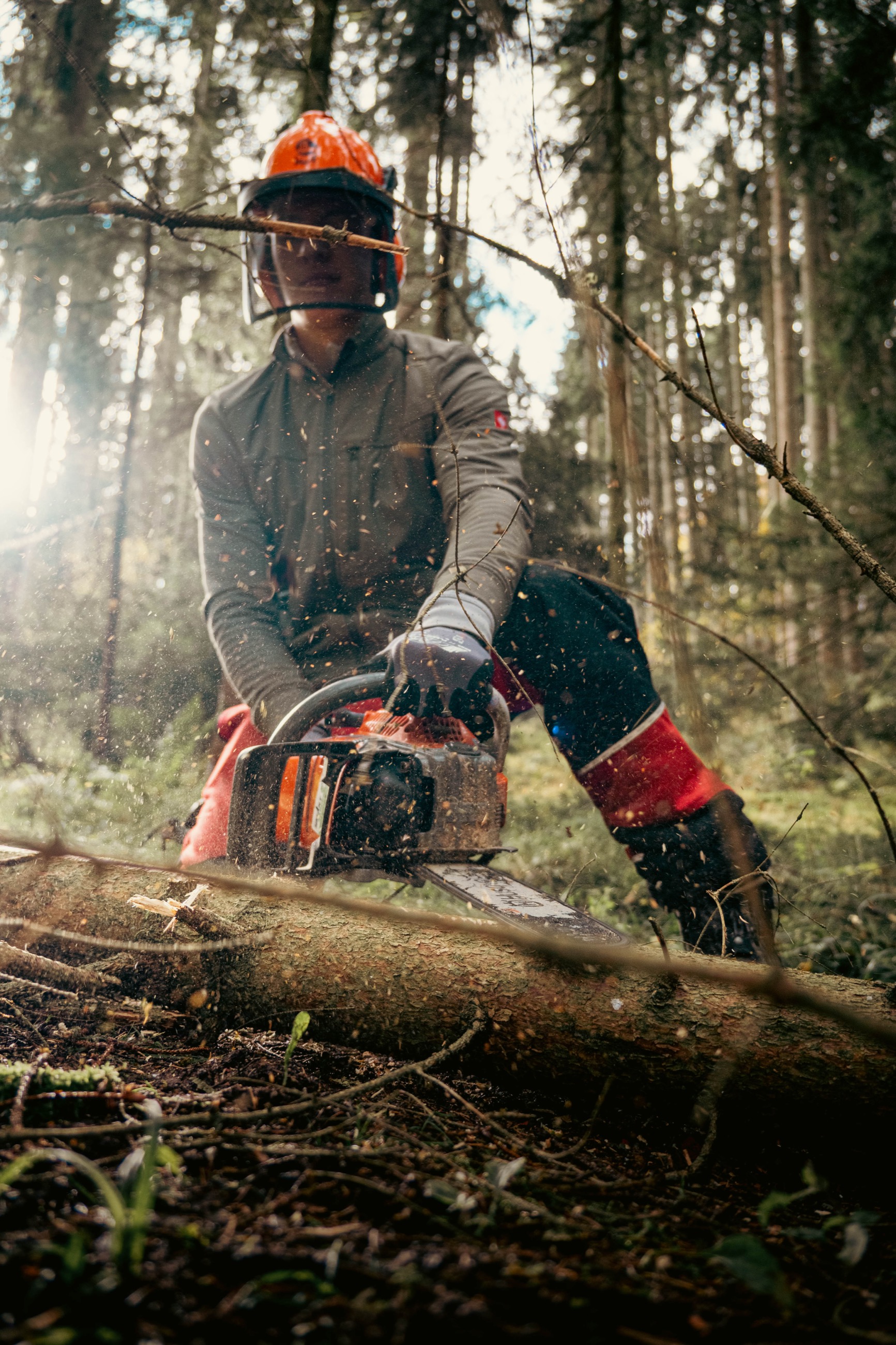 Entasten der Stämme direkt im Wald
