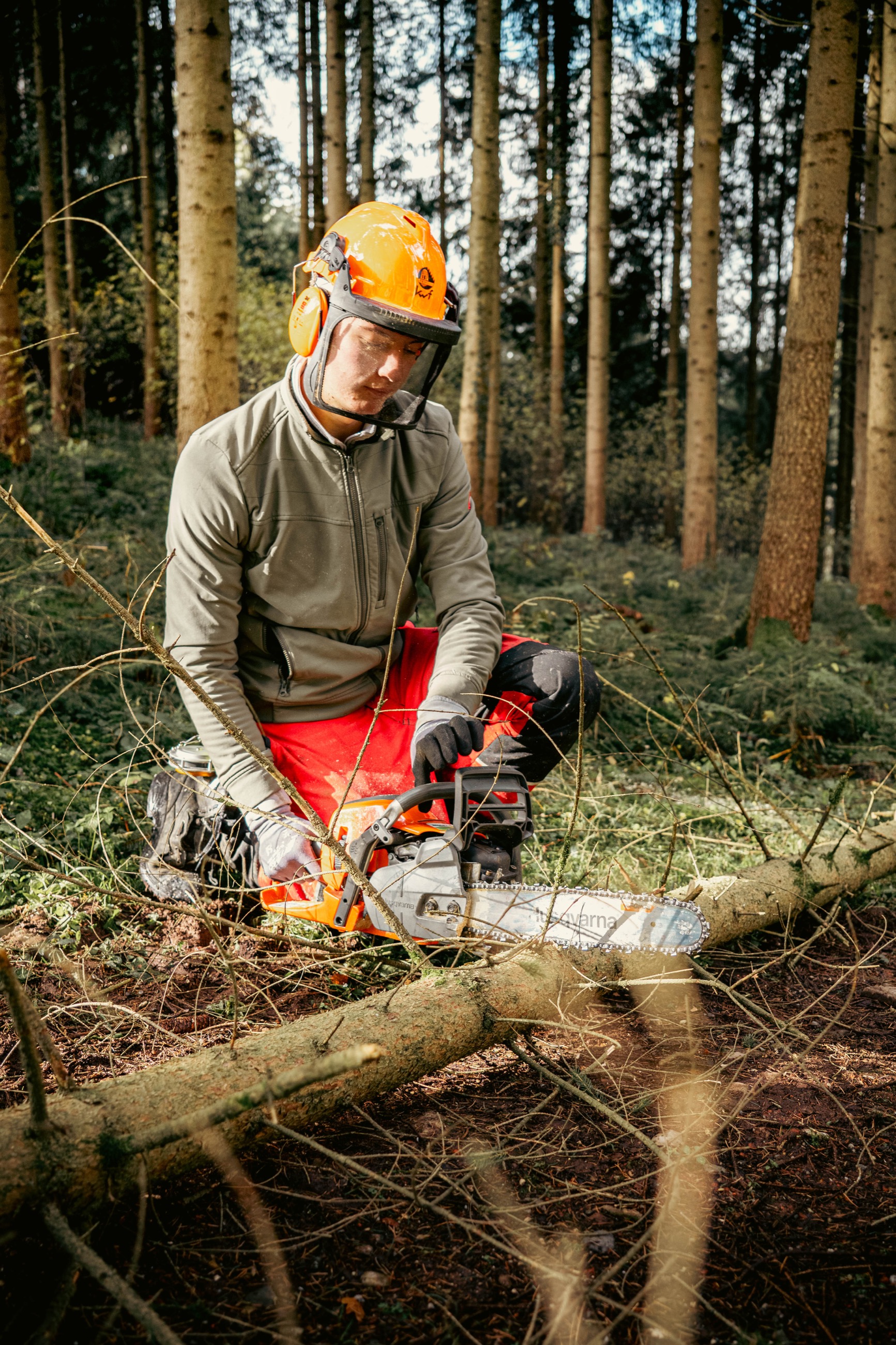 Aufladen der Stämme im Wald