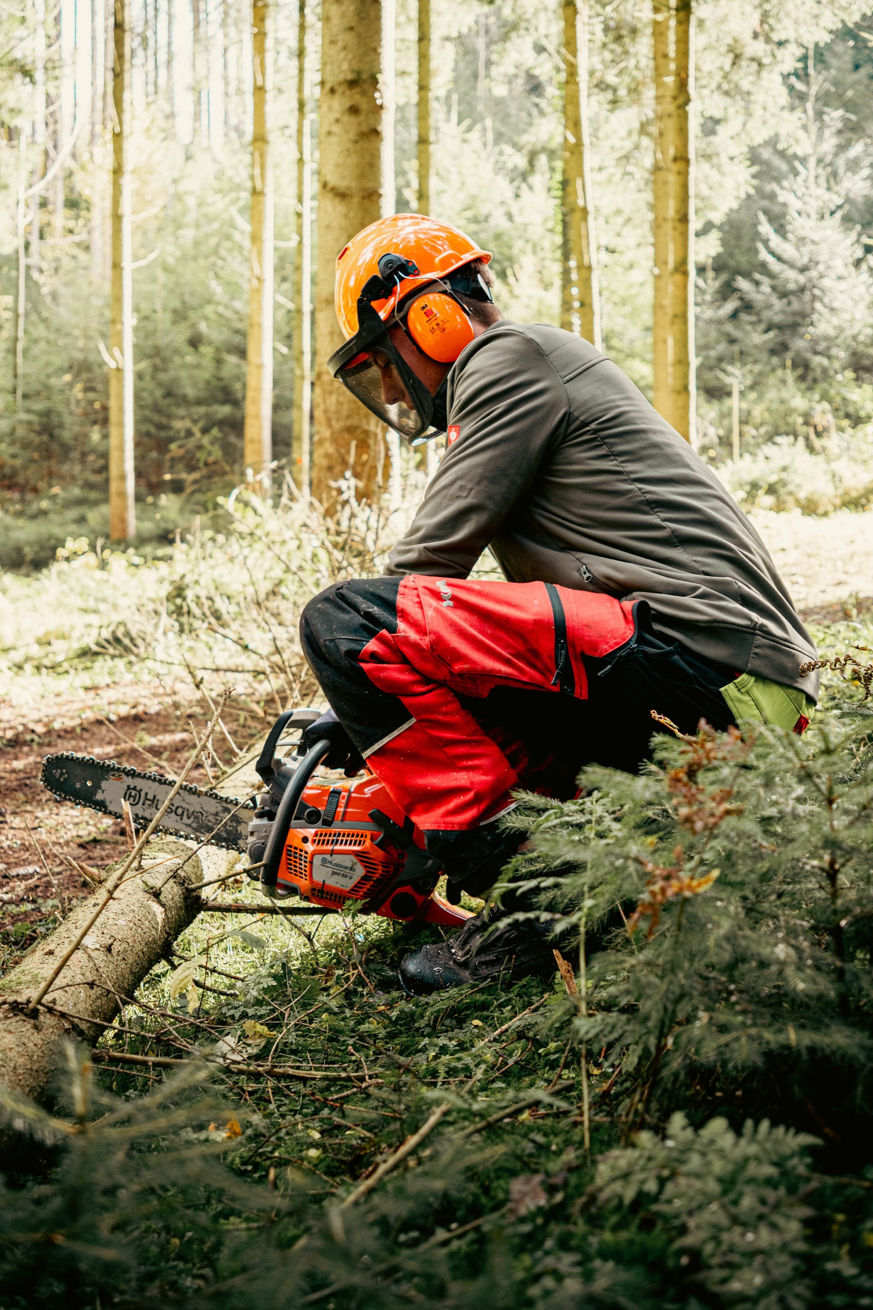 Aufladen der Stämme im Wald