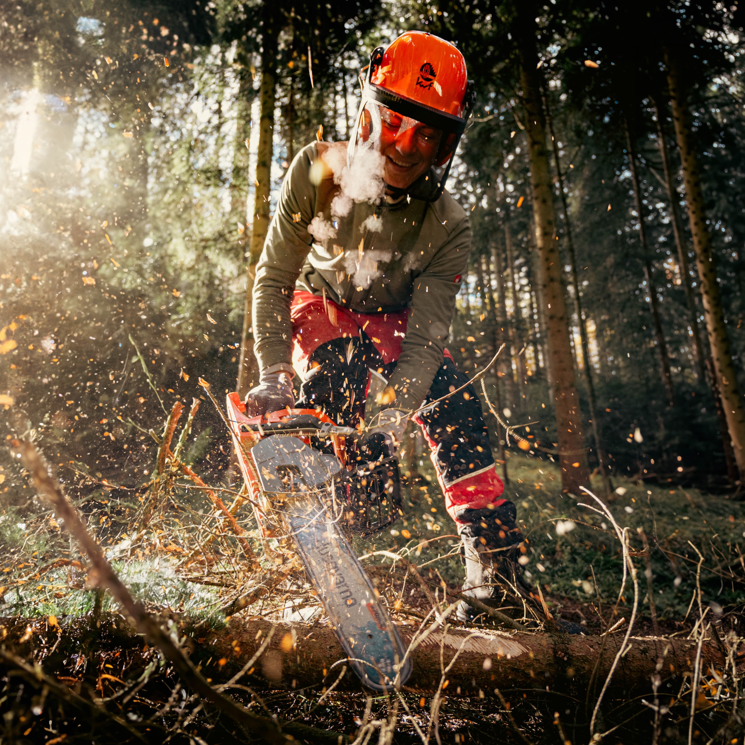 Entasten direkt im Wald