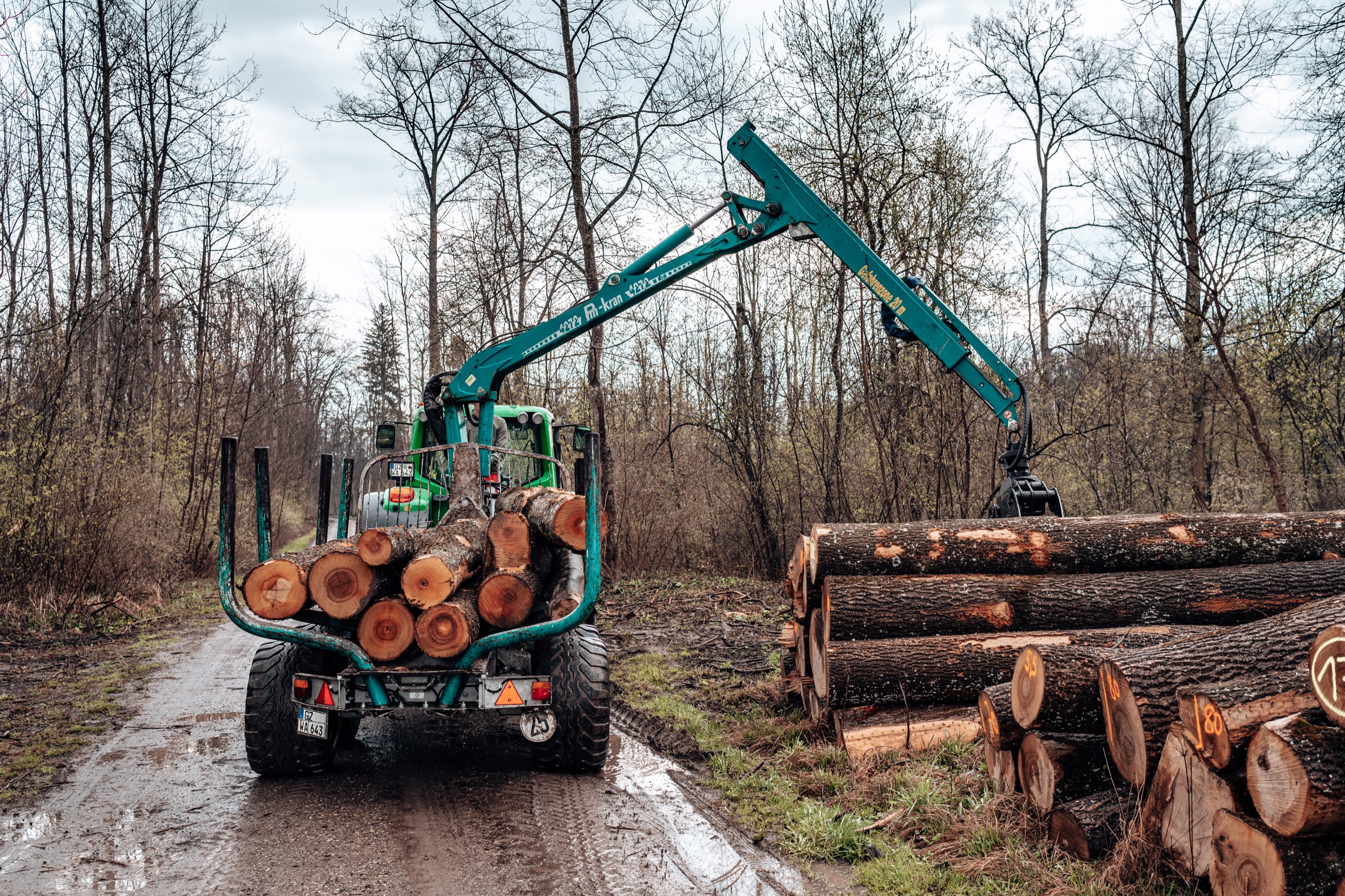 Holztransport aus dem Wald
