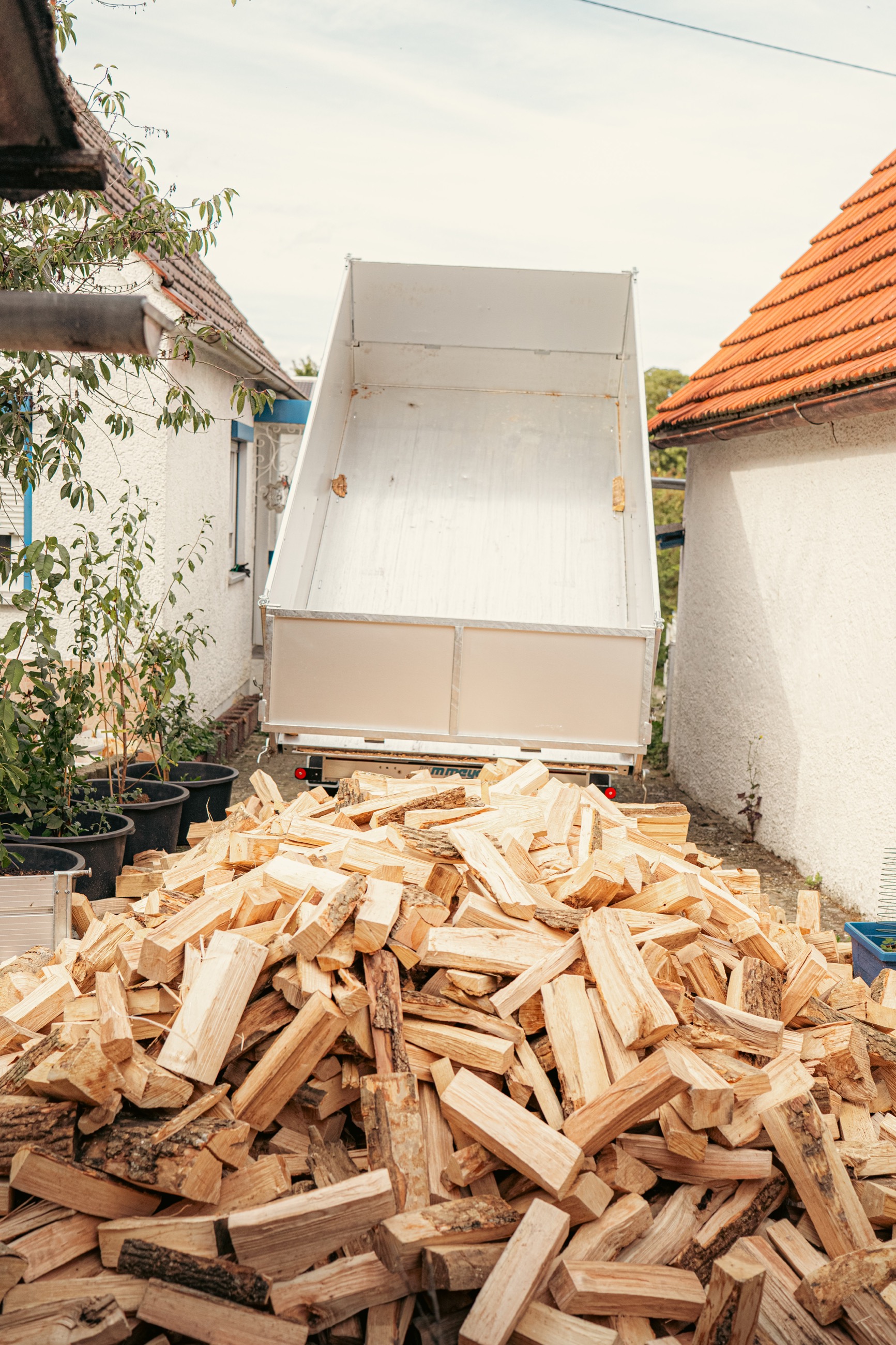 Großer Haufen Holz wird vom Anhänger gekippt