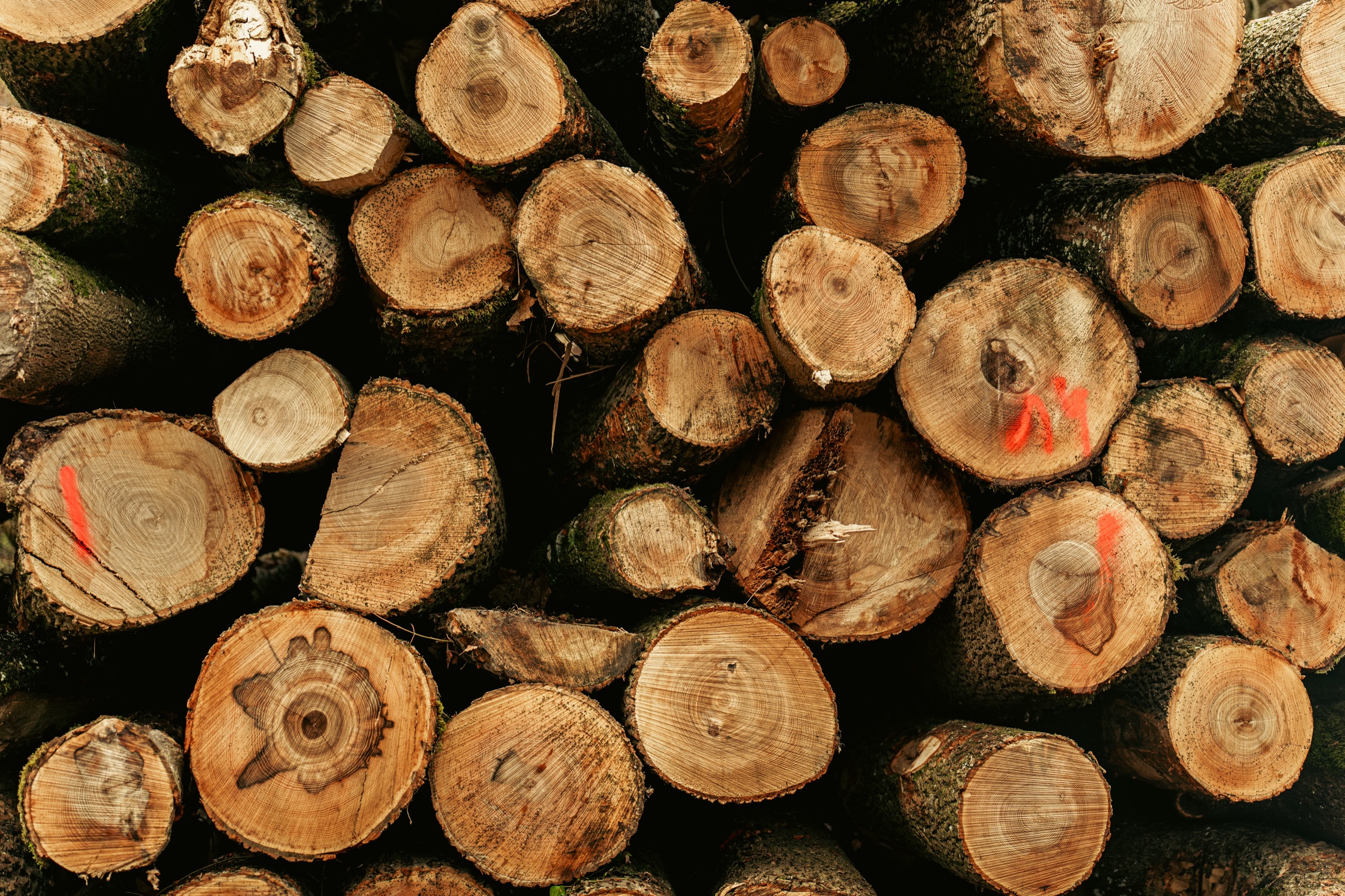 Hackmaterial wird mit Stapler bewegt