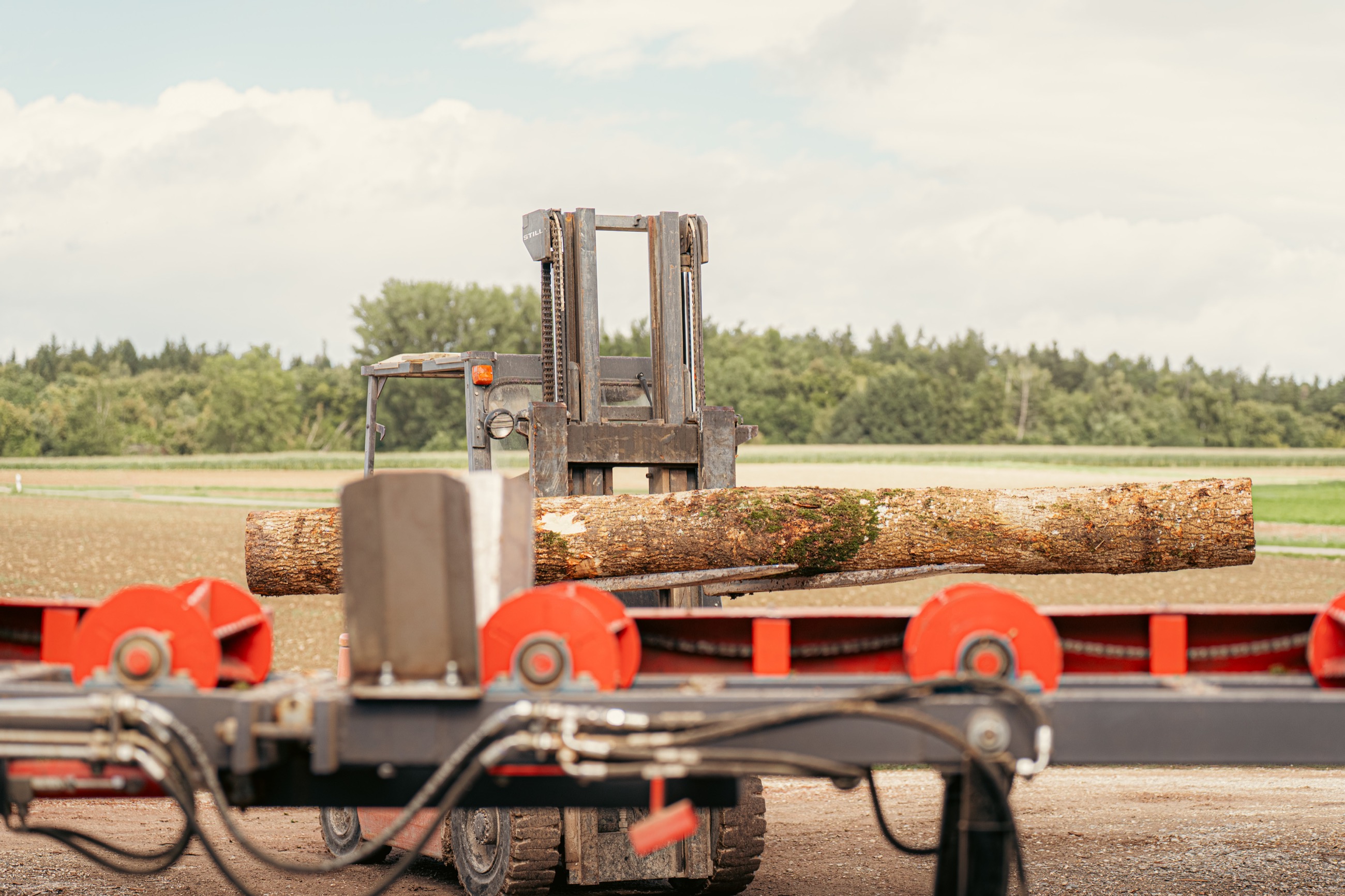 Baumstamm liegt auf den Gabeln vom Gabelstapler