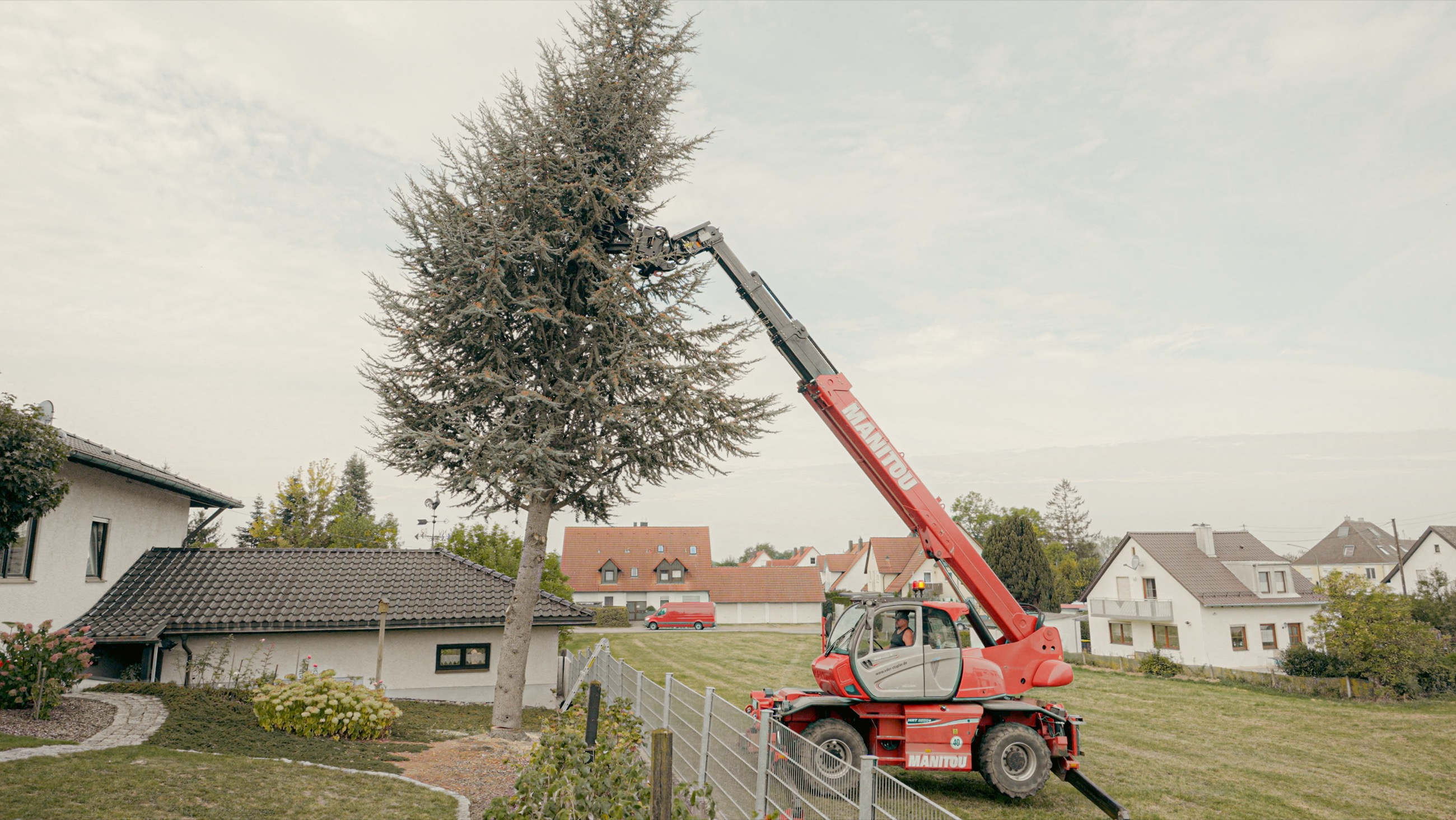 Problembaumfällung mit Greifersäge
