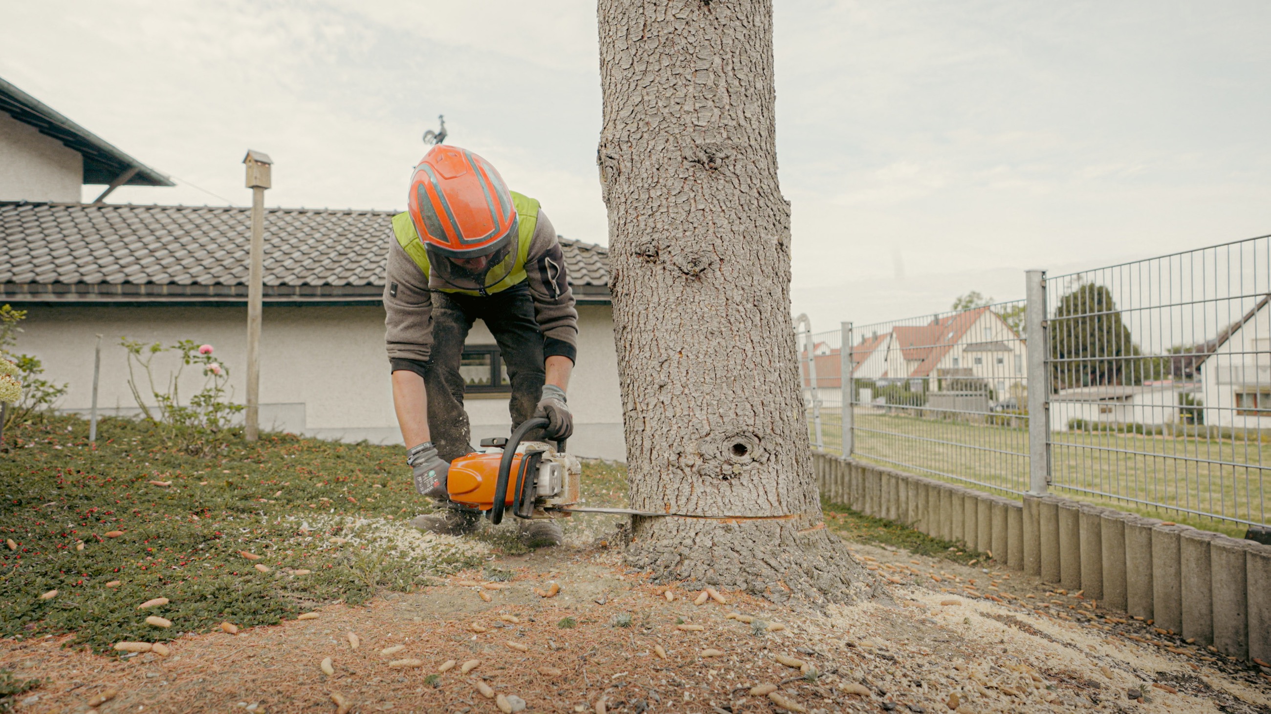 Baum nahe eines Gebäudes und Zauns wird gefällt