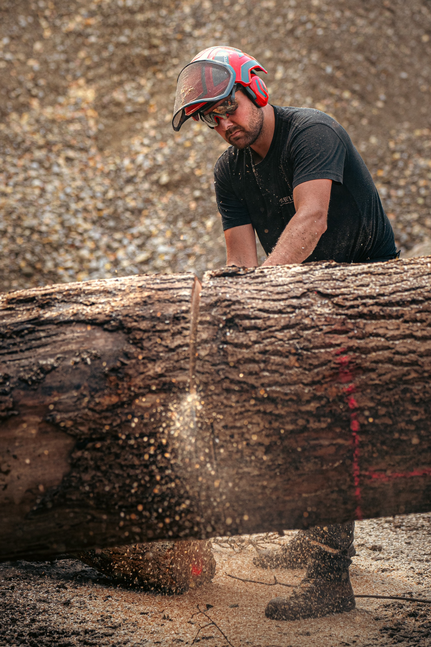 Holzproduktion – Vorbereitung