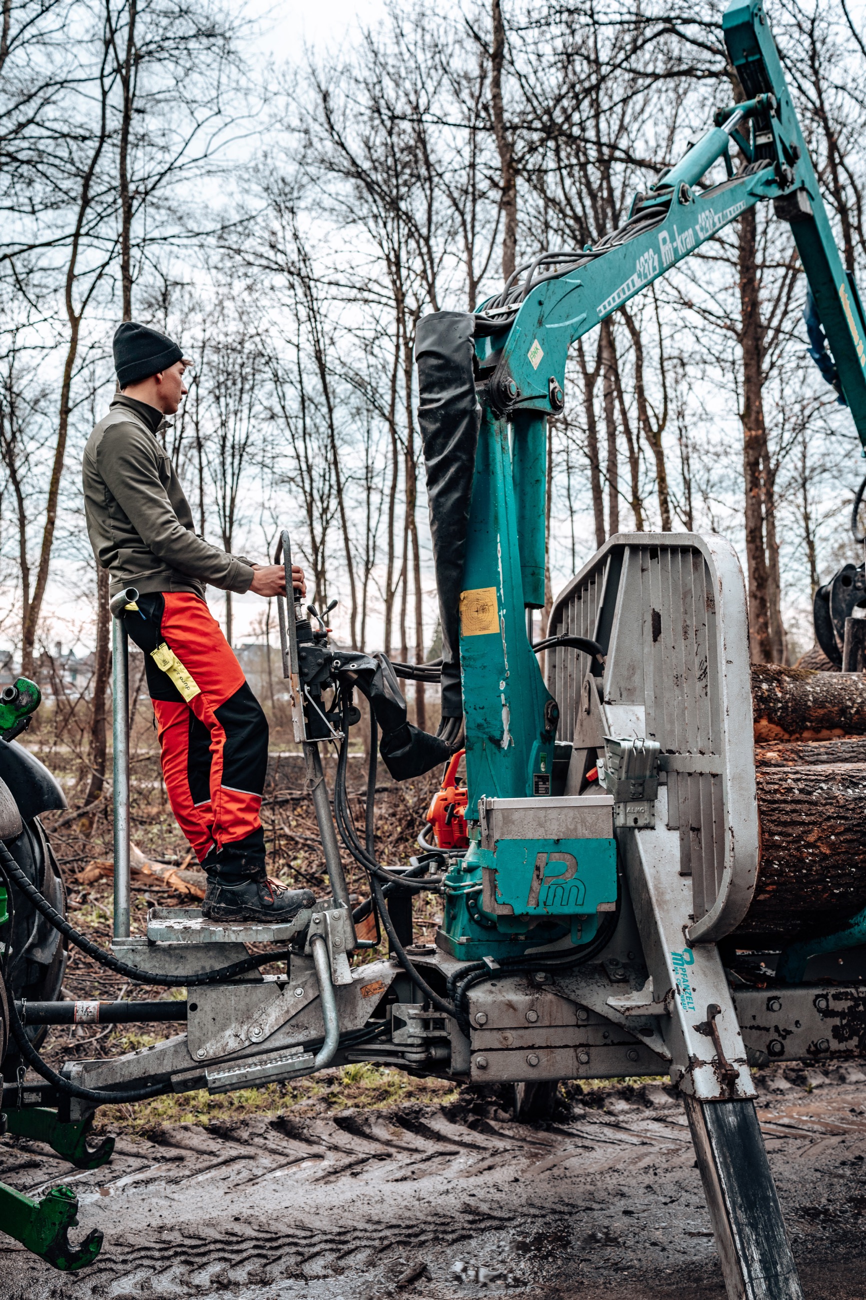 Aufladen der Stämme im Wald