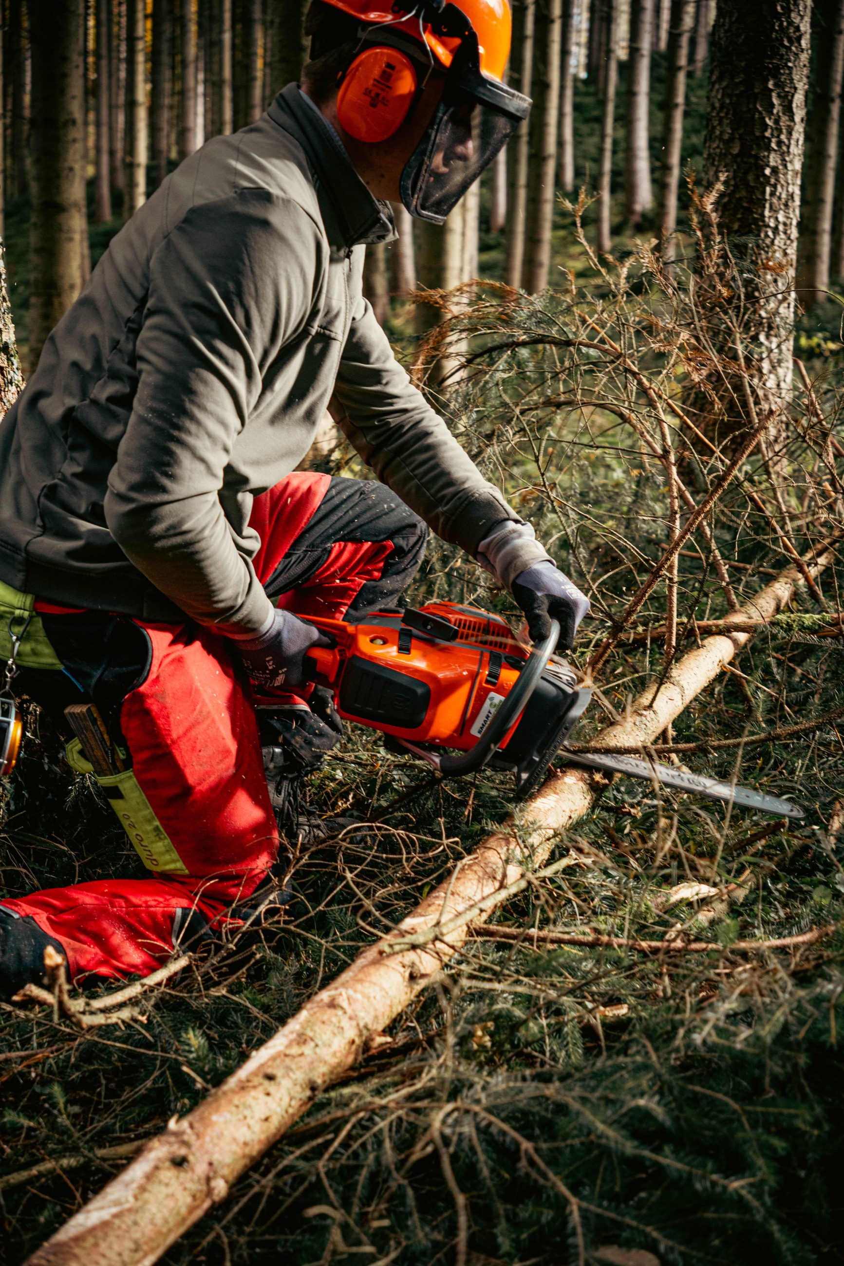 Gleichmäßig gespaltene Holzscheite