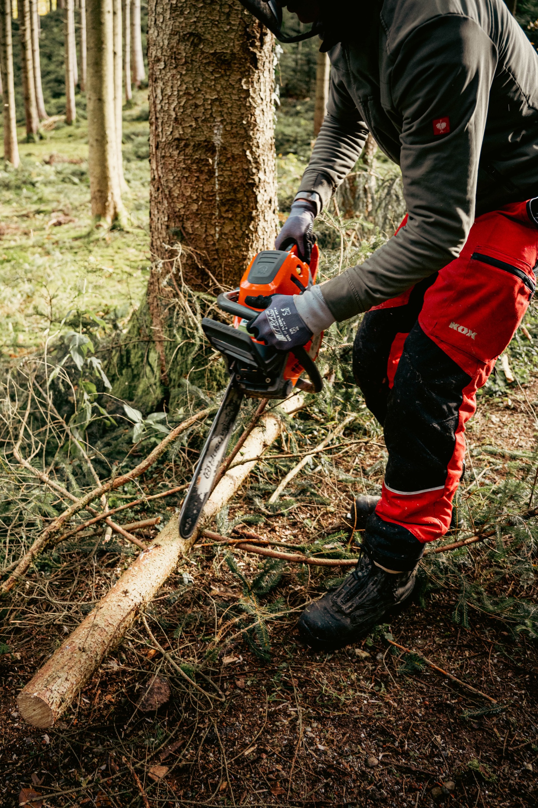 Hackmaschine beim Verarbeiten der Stämme