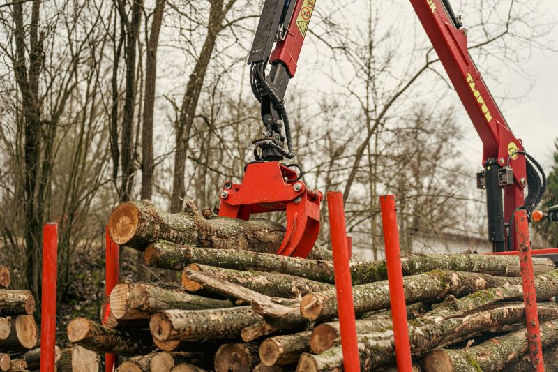 Stammholz wird per Kran verladen